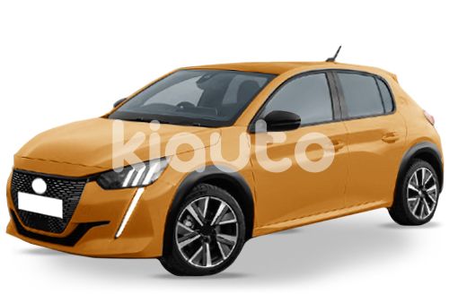 Acheter Accessoires de carrosserie Peugeot 208 année 2019-> - Kiauto
