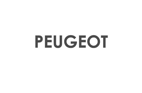 Protège pare-brise PEUGEOT 306  acheter pas cher en ligne chez